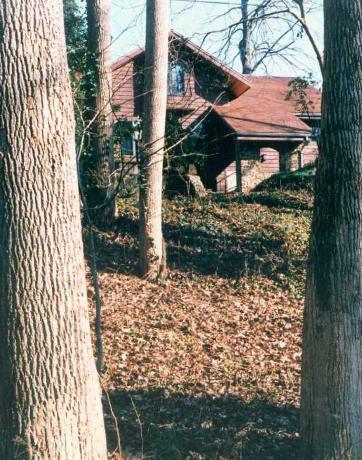 View of entry porch through the woods